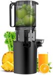 Masticating Juicer, 5.3-inch Slow C