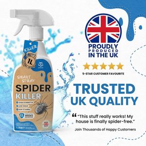 Pestmatic Spider Killer Spray 1L – Fast-Acting Insect Control