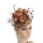 Pratiharye Feather Fascinator Hatffor Women with Beads Ladies Pillbox Hat on a Headband and a Forked Clip Cocktail Party Race Hats Bridal Shower Hair Clip Headpiece for Wedding Ascot Races Brown