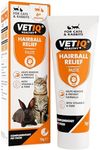 VETIQ Hairball Relief Paste With Vi