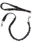 Mighty Paw Hands-Free Dog Leash - Adjustable Hip Belt - Reflective Bungee System - Shock Absorbing Dog Leash Waist Belt - Ideal for Training - Walking - Jogging - Hiking - Running - (Black, 3 Foot)