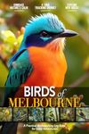 Birds of Melbourne: Bird Watching Log Book for Local Backyard Australian Birders (Adults and Kids Alike) | Practical Bird Sighting Journal for Birding ... | Beautiful Gift for Birdwatching Lovers