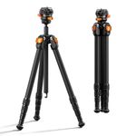 K&F CONCEPT Carbon Fiber Travel Tripod, 60" Compact Lightweight Portable Tripod with Low Profile Ball Head with Quick Release Plate for Arca, DSLR Mirrorless, Max Load 13.2lb