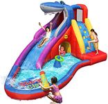 Inflatable Shark Slide _9417