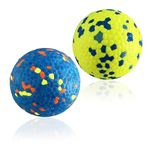 CAISHOW 2Pack Dog Ball Toys Indestructible Dog Ball Float On Water Fetch Bouncy Durable Solid Rubber Ball For Puppy Small And Medium Dogs Playing Toys (2Pcs-2.55'')