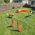 YITAHOME Dog Agility Accessories Kit: Includes Flirt Pole Toy, 2 Hurdles, 3 Frisbees, 6 Weaving Poles, 1 Agility Tunnel, Pause Box, Full Set of Agility Equipment for Backyard Outdoor