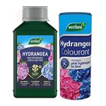 Westland Hydrangea Plant Feed Bundle - 1L High-Performance Hydrangea Liquid Plant Food & 500g Hydrangea Colourant. Garden Fertilisers for Outdoor Plants with Topline Card.