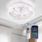 fenhua Ceiling Fans with Lights and