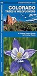 Colorado Trees & Wildflowers: A Fol