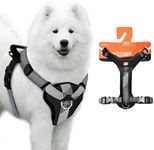 No Pull Dog Harness with Handle -[Neoman] Escape-Proof Heavy Duty Dog Harness - Neoprene Padded H-Strap with Reflective Trim, Metal Buckles - Safe, Adjustable Pet Accessories