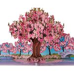 Cardology - Pink Cherry Blossom Pop Up Card | Mothers Day Card, Birthday Cards For Her, Valentines Day Cards, Get Well Soon Cards | Handmade