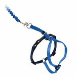 PetSafe Come With Me Kitty Harness and Bungee Leash, Harness for Cats, Large, Royal Blue/Navy, CWMK-L-RYL