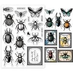 PH PandaHall Butterflies Dragonfly Stamp, Vintage Clear Insects Stamps Transparent Seal Stamps for Paper Crafting Handmade Crafts Scrapbooking Supplies Arts Crafts, 4.33x6.3