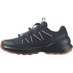 Salomon Women's Speedcross Peak Climasalomon Waterproof Hiking Shoe, Carbon/Carbon/Cork, 10.5