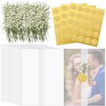 Fabbay Wedding Invitations Wraps Set Include 50 Pcs Pre Folded Vellum Jackets for 5x7 Invitations 100 Pcs Natural Dried Pressed Flowers 75 Pcs Gold Self Adhesive Envelope Seal Stickers for Craft DIY