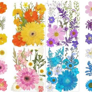100Pcs Dried Pressed Flowers for Resin Molds- Beautiful Pressed Flowers Daisies for Resin Jewellery, Pressed Flowers Nail Pendant Crafts Making Craft DIY Accessories with 1pcs Tweezers