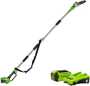 Greenworks
