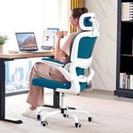 DROGO Premium Ergonomic Office Chair for Work from Home, High Back Computer Chair with Adjustable Seat, Lumbar Support & Headrest, Flip-up Armrest & Recline | Mesh Chair for Office/Home (Teal)