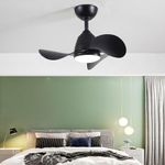 Duckbeer 24" Small Ceiling Fans with Lights, Black Remote Control 3 Blades, Silent 3 Colour LED 6 Speed High Airflow Ceiling Fan for Bedroom, Kitchen, Dining Room, Balcony