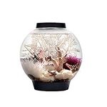 biOrb CLASSIC 15 Aquarium with LED 