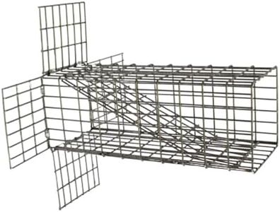 Slide 1