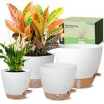 Self-Watering Pots for Indoor Plants 4 Pack, 6/8/10/12 Inch Outdoor Planters with Water Level Indicator&Deep Reservoir, Decorative Flower Pots for Indoor Plants,Home Decor (White, 12+10+8+6 inch)