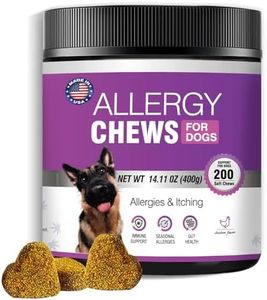 Dog Allerg