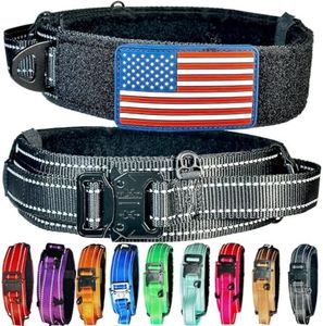 Dog Collar