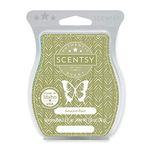 Scentsy Scents