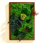 myBageecha - Fern Frenzy Preserved Real Moss Frame with Fern Flowers Home Decor Wall Art for Interior Vertical Garden Dark Brown Wooden Frame Green 18Inch x 12Inch