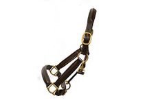 Pets2Care LEATHER HORSE HEAD COLLAR FULLY RAISED AND PADDED BROWN COLOR BRASS FITTING SIZE COB