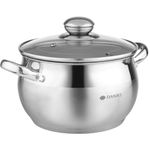 Daniks Classic Stainless Steel Stock Pot with Glass Lid | Induction 3 Quart | Dishwasher Safe Pot | Measuring Scale | Soup Pasta Stew Pot | Silver