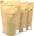 Organic Fertiliser Bundle for Living Soil: Grow, Bloom & Bloom2 - Dry Amendment Nutrients by Living Soils (3 x 400ML)