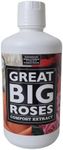 Great Big 