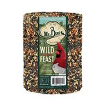 Mr. Bird Wild Bird Feast Cylinder 72 Oz