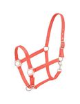 Tough 1 Tough-1 Nylon Halter with Satin Hardware, Orange, Horse