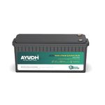 AYUDH Lithium Ferro Phosphate (LiFePO4) Inverter Battery, Solar Compatible, 5 Years Warranty, Smart Bluetooth Connectivity, 24 Volts, 100 Amp Hours