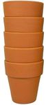 Henry Watson, Small Terracotta Flower pots, MADE IN ENGLAND (1, 9.5 cm x 10 cm 5 pack)