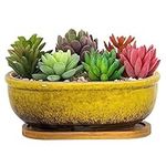 Succulent Pots, 7.9 Inch Long Recta