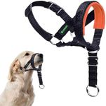 ILEPARK Dog Head Collar with Safety