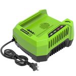 Greenworks PRO 80V Lithium Ion Single Port Rapid Battery Charger GCH8040