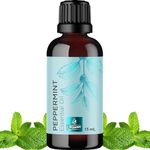 Dhyanut 100% Pure Peppermint Oil For Hair Growth - Undiluted Peppermint Essential Oil For Hair Growth Aromatherapy And Beauty Diys For Visibly Hair And Clear Scalp (15 ml, Peppermint)