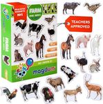 Fridge Magnets For Toddlers Magdum - 16 Farm Photo Kids Fridge Magnets - Animal Magnets For Toddlers - Fridge Magnets For Kids - Kids Magnets - Magnetic Shapes - Magnet Toy - Kids Magnets For Fridge