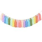 Cotton Tassel Garland Pastel Banner, Girls Bedroom Accessories, Colorful Party Backdrop Decorative Wall Hangings Llama Decorations for Bedroom,Nursery Dorm Room,Baby Shower, Home Decor Gift