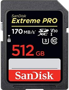 Sandisk Ex