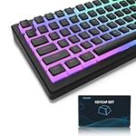 Pudding Keycaps, PBT Keycaps 165 Keys Set Custom Keycap Set, Shine Through Keycaps OEM Profile, Universal Compatiability for 100%, 75%, 65%, 60% Keyboard - Black