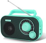 DreamSky AM FM Portable Radio Plug 