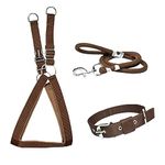 VIPCOLLECTION No Pull -Step in Soft Padded Dog Harness and Collar Leash for Small Medium Large Dogs - Escape Proof Adjustable Combo for Walking Training Hiking Outdoor (Extra Small, Brown)