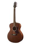 Walden, Acoustic Guitar, Grand Auditorium with Bag -Satin Natural G551E/W