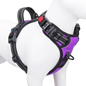 PHOEPET Reflective Dog Harness Large Breed Adjustable No Pull Vest Handle 2 Metal Rings 3 Buckles [Easy to Put on & Take Off](L, Purple)